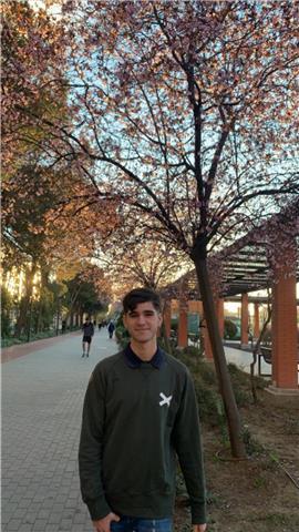 Estudiante con nivel alto de inglés (c1) ofrece clases para niños