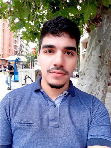 Profesor de castellano para extranjeros (lengua materna)