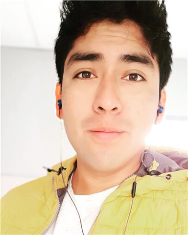 Profesor de música en colegios de primara y secundaria