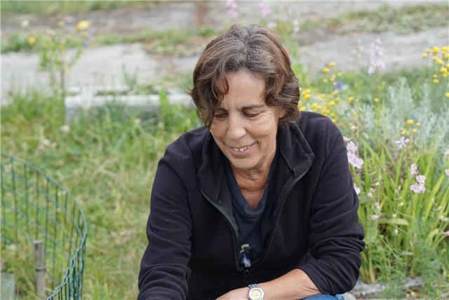 Profesora de matemáticas (matemática discreta, análisis matemático, álgebra, estadística) 1º carrera. clases on line