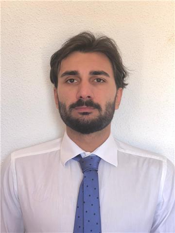 Ingegnere offre lezioni private di matematica e fisica