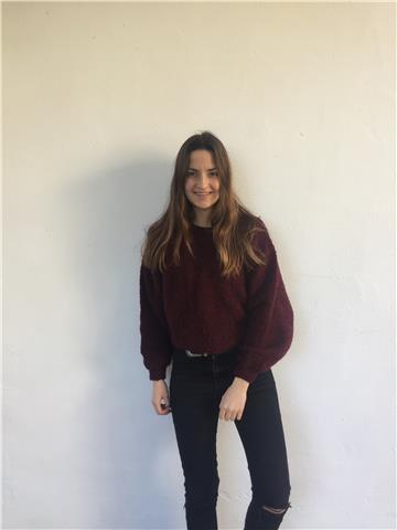 Doy clases de todas las materias de educación primaria