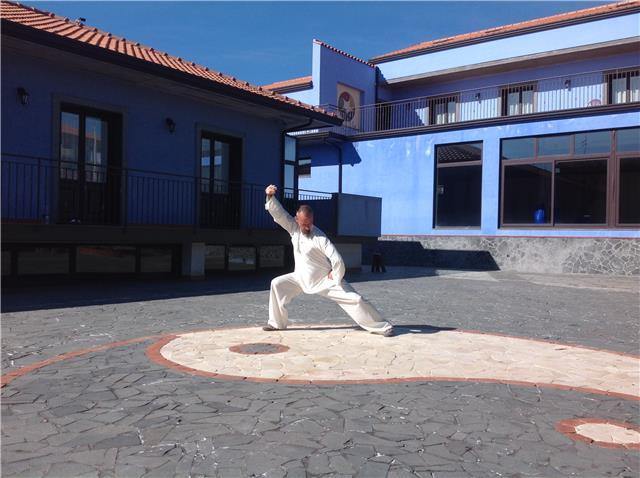 Doy clases de taichi y sus diferentes áreas de interés (chi kung, tui shou) para todos los niveles para adultos. kung fu para niños, jóvenes y adultos