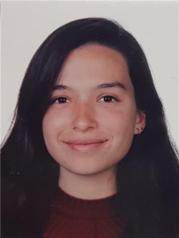 Profesor de conversación en español (Conversation teacher)