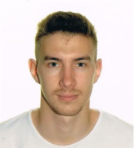 Profesor de lengua alemana (clases online)