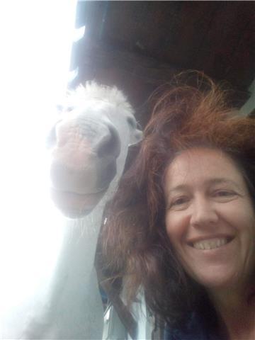 Home tutor inglés a domicilio