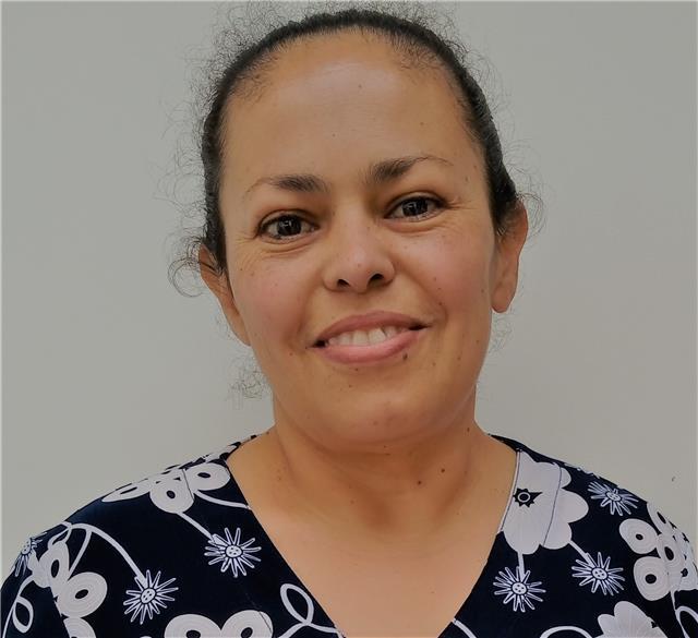 Maestro en español lectoescritura
Y manejo del lenguaje