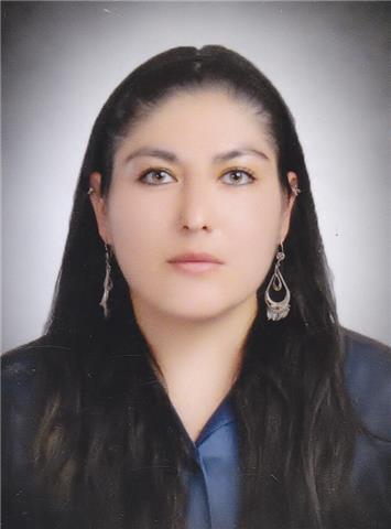 DOCENTE MATE, BIO, FÍSICA, QUÍMICA, INGLES