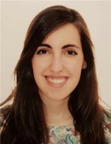 Gcse / a levels online lessons from a official examiner