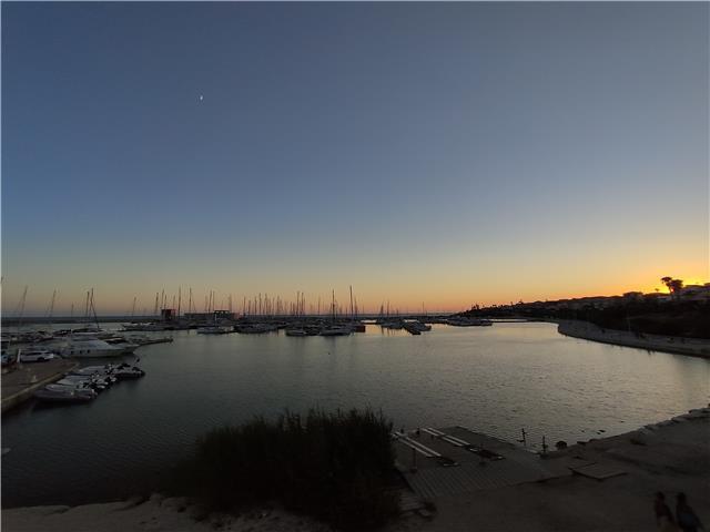 Laureata in scienze dell'educazione offre ripetizioni di italiano, inglese, matematica, storia, filosofia a ferrara