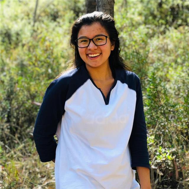 Clases de inglés para niños y adultos. Remotas