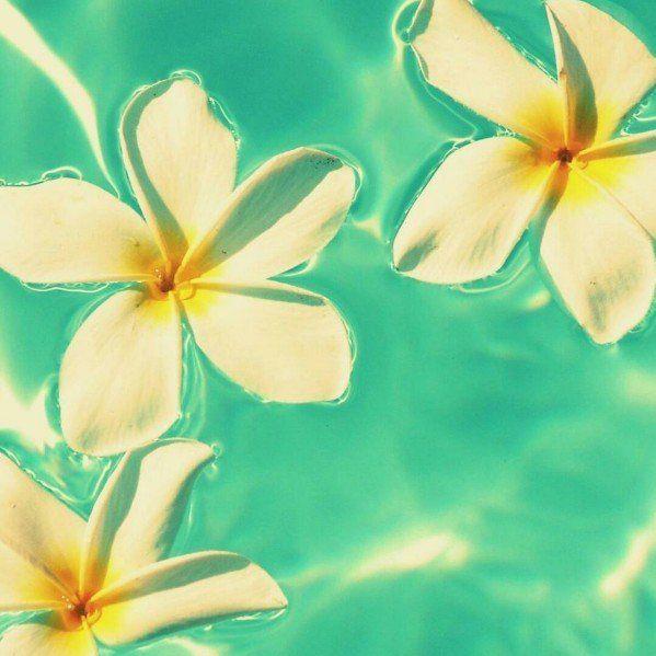 Maestra de apoyo para clases de inglés comprometida con la enseñanza, buscando reforzar los aprendizajes y mejorar las habilidades