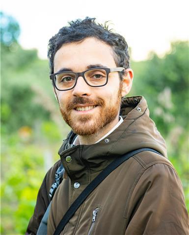 Borsista di ricerca - lezioni di latino, storia, archeologia, inglese