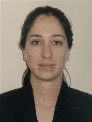 Imparto clases particulares de ciencias sociales y humanidades