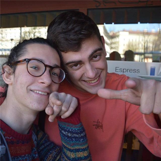 Studente di Ingegneria lezioni matematica in zona Gardone, 
Sarezzo, Villa Carcina, Marcheno