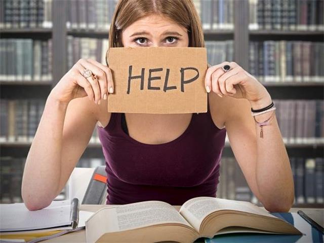 Insegnate di Italiano/epica/grammatica per scuole elementari e medie