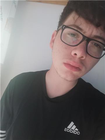 Diplomato al liceo scientifico scienze applicate