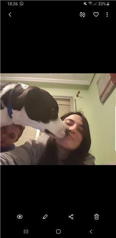 Desde mediados de secundaria he estado dando clases a niños siendo este un  segundo trabajo  me comunico bien con los niños dando clases dinamicas