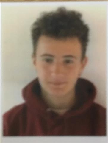 Studente del liceo classico per lezioni di qualsiasi materia