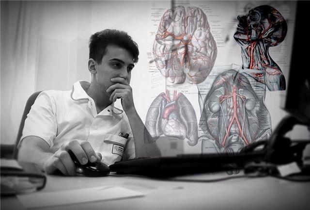 Infermiere (Laureato in Infermieristica) propone lezioni private di Anatomia umana a studenti di scuole superiori e laureandi