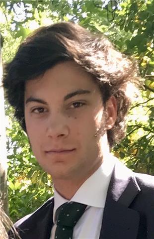 Doy clases particulares, presenciales o online de matemáticas, lengua, física y química, a alumnos desde primaria hasta 4º de la eso