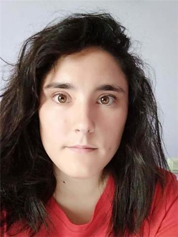 Clases de español para extranjeros. presencial y online