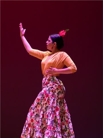 Flamenco, Danza Española, Ballet, baile moderno, flamenco fitness, Zumba, Aerobic, gimnasia articulada