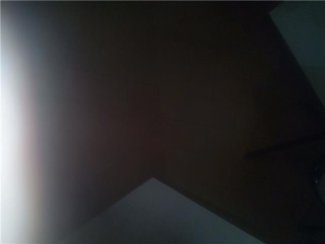 Calugi daniela categoria protetta collocamento mirato