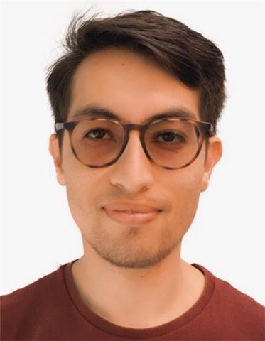 Experienced tutor for math, algebra, physics and related topics @school-undergraduate levels