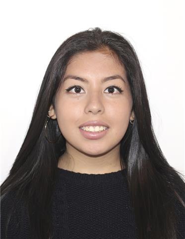 Clases particulares de inglés desde primaria a la Bachillerato