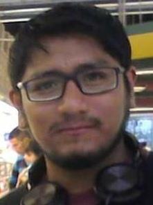 Profesor de matemática y física (primaria, secundaria y universitario)