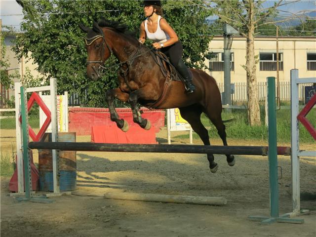 Sono una studentessa universitaria e impartisco lezioni per bambini e ragazzi