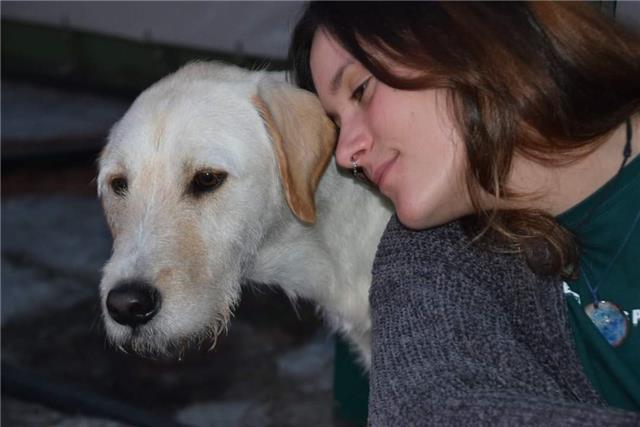 Insegnante madrelingua spagnolo per tutte le età. Da asilo nido a liceo e anche conversazione e lezioni strutturata per adulti