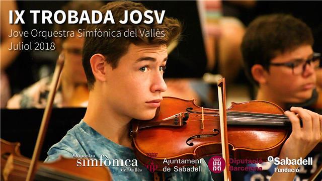 Estudiante de superior de música especializado en interpretación de violín ofrece clases de repaso, iniciación, ampliación... a alumnos de grado elemental o grado professional/medio en lenguaje musical, harmonía, análisis, violín