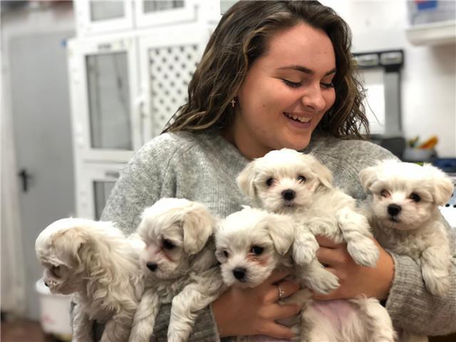 Estudiante de magisterio ofrece clases de repaso de todas las asignaturas