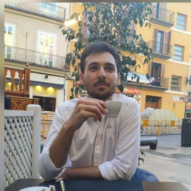 Clases de historia e historia del arte. secundaria y bachillerato. preparación para selectividad