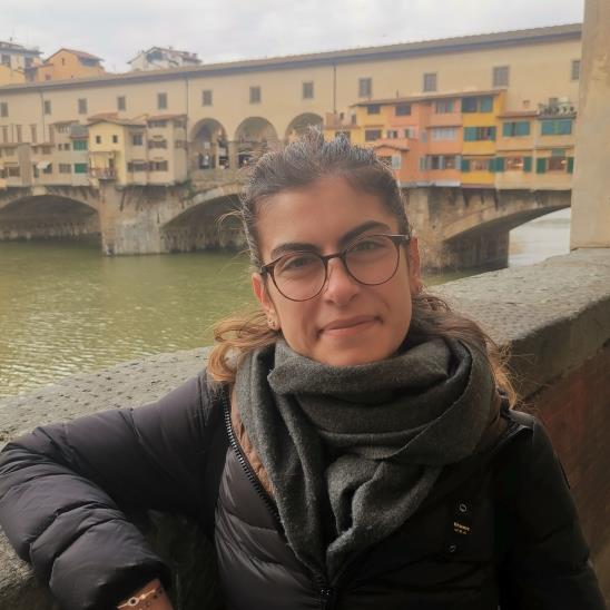 Laureata in Ingegneria Civile (triennale) offre ripetizioni agli studenti per materie scientifiche e non di tutti i gradi scolastici