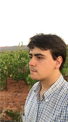 Estudiante universitario ofrece clases de historia del arte