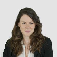 Insegnante multidisciplinare