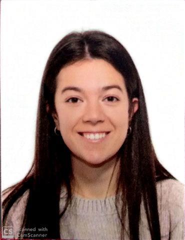 Clases particulares de matemáticas, física, programación e inglés online y presencial
