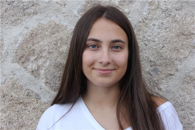 Clases particulares de inglés, francés, matemáticas, química económicas en ávila