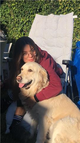 Clases particulares de historia e historia del arte