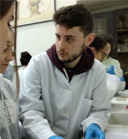 Clases económicas de biología para bachillerato o eso
