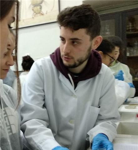 Clases económicas de Biología para Bachillerato o ESO