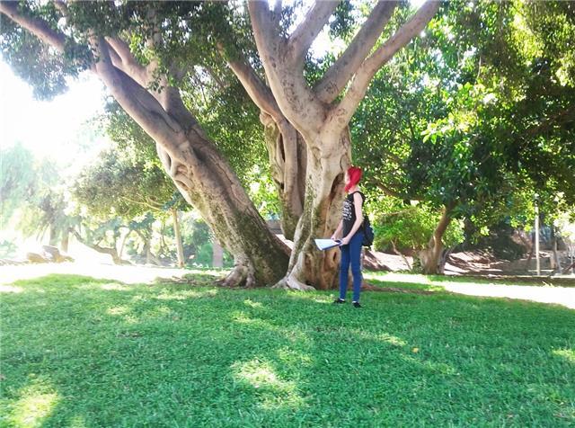 Doy clases de matemáticas, contabilidad e inglés