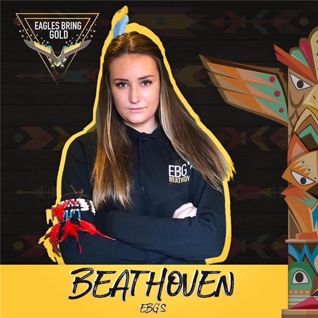 Doy clases particular de frances y ingles