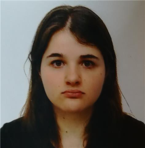 Clases de lengua castellana y literatura (con ejercicios prácticos). todos los niveles