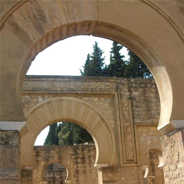 Profesor diplomado en universidad illinois- chicago- usa