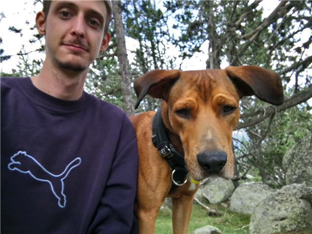 Doy clase particular de matematicas de la eso hasta 2o bachillerto