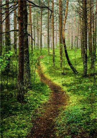 Studentessa offre lezioni di diritto e di tutte le materie dalle elementari al liceo